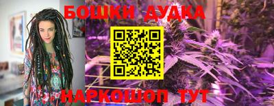 бошки Будённовск