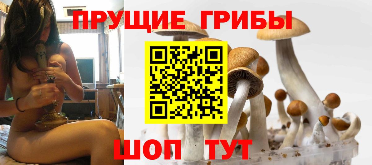 Псилоцибиновые грибы Psilocybine cubensis  Вход с VPN  Ржев 
